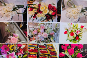 All Photos