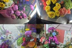 0a015944-24a2-4a6a-9a75-7dbbd9ce1a5b