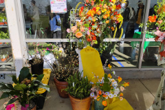 IMG_20260328_095845497_HDR