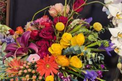 1003 - Arranged