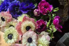 687769926_4196001104023124_1047405690631626332_n