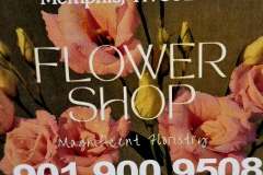 BusCard4934Poplar