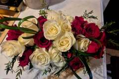 1_4472280914751441799-1